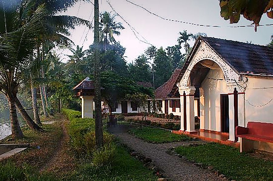 A palm-lined path leading to one of the cottages